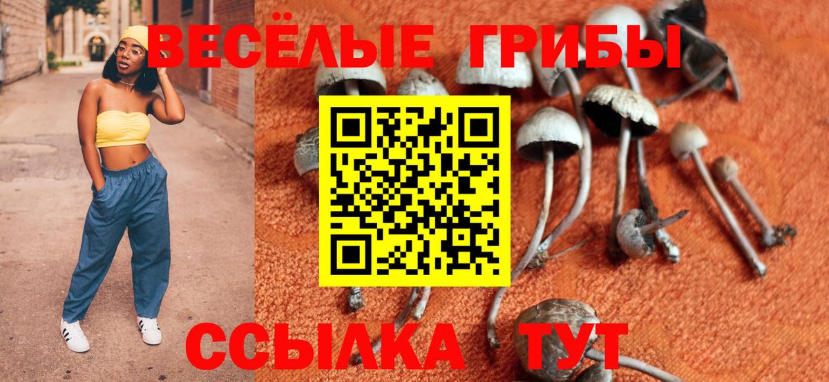 Галлюциногенные грибы мицелий  Вход с VPN  Галлюциногенные грибы мухоморы  Волжский 