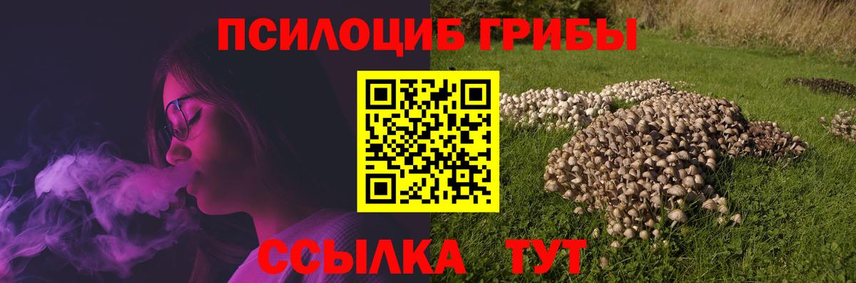 Псилоцибиновые грибы Psilocybe Волжский