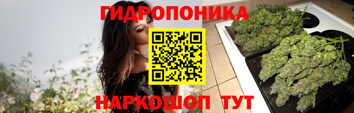 Каннабис OG Kush  Бошки Шишки OG Kush  Вход с VPN  Волжский  Шишки марихуана VHQ 